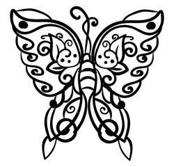 Poster - Butterfly drawing, illustration, vector on white background.