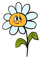 Poster - Sad daisy, illustration, vector on white background.