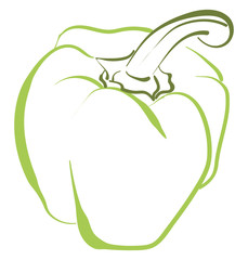 Poster - Green pepper drawing, illustration, vector on white background.