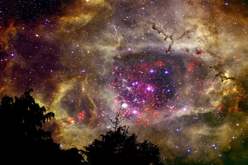 Wall Mural - blur gold color galaxy nebula back on night cloud sky silhouette dry tree