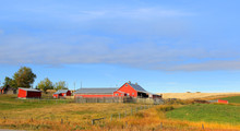 Barn In The Middle Of Prairies In Alberta,Canada