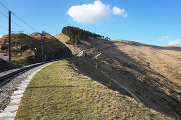 monte generoso e fiore di pietra