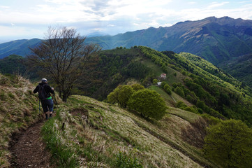 mountain near the lake