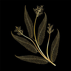 Wall Mural - branch with leaves isolated. vector illustration.