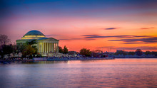 Jefferson Memorial At Sunset During Peak Cherry Blossom Time