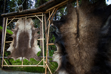 Bear and caribou furs on display in Native Alaskan village