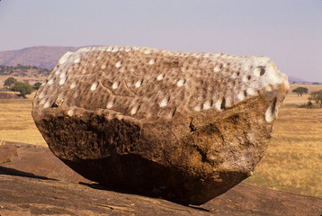 Wall Mural - Gong Rock