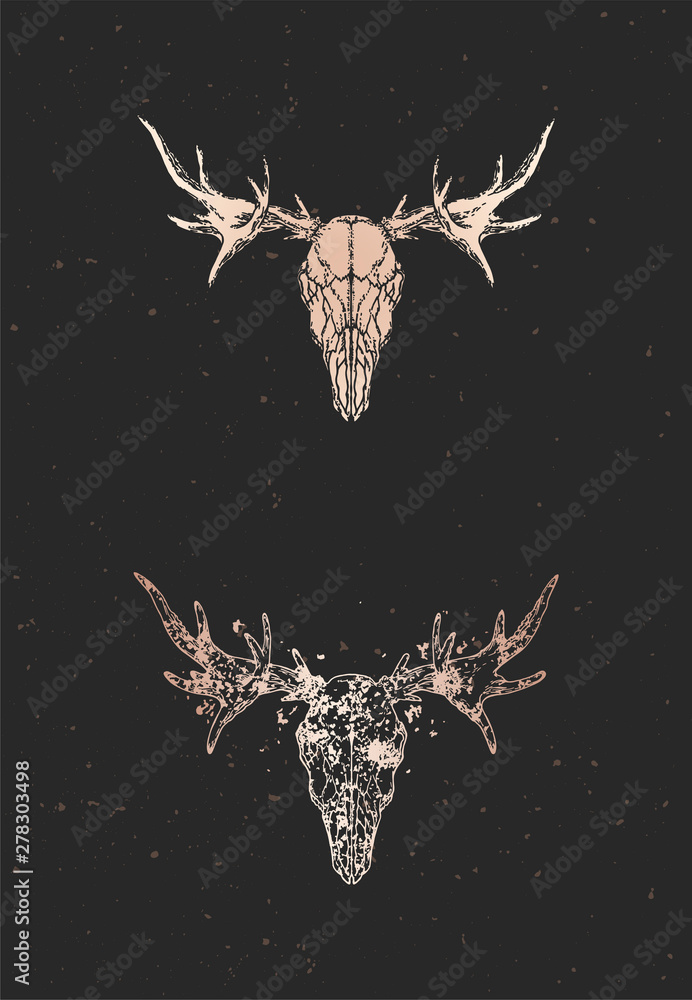 Vector illustration with two variants of hand drawn moose skull on ...