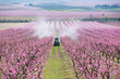 © CACTUS Creative Studio/Stocksy - Tractor spraying a field in bloom with chemicals