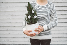 Woman Holding A Smal Christmas Tree