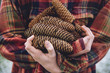 © Lisa MacIntosh/Stocksy - gathered pinecones in arms of boy wearing plaid jacked