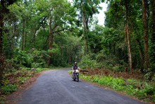Handsome Man Riding A Motorbike On A Forest Road