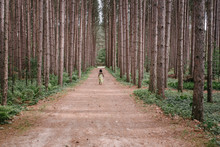 Black Girl Walking In A Forest