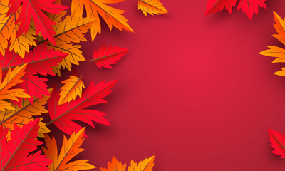 Wall Mural - autumn leaves on red background design with copy space vector illustration