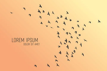 Wall Mural - silhouette of a flock of flying birds