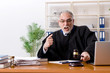 © Elnur - Aged lawyer working in the courthouse