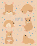 Fototapeta Pokój dzieciecy - Hamsters yoga poses and exercises. Cute cartoon clipart set