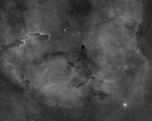 Wall Mural - ic1396 elephants trunk nebula