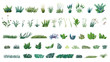 © whitehoune - huge collection of stylized isolated green plants for your illustrations