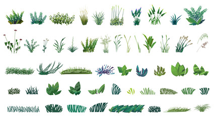 huge collection of stylized isolated green plants for your illustrations