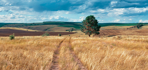 Wall Mural - central russia agricultural countryside with hills and country road. summer landscape of the samara 
