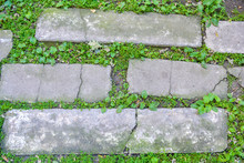 Broken And Destroyed Old Cement Blocks, Ground Between Them With Moss And Grass