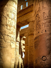 Wall Mural - columns in the hypostyle hall at the temple of karnak (luxor, egypt)