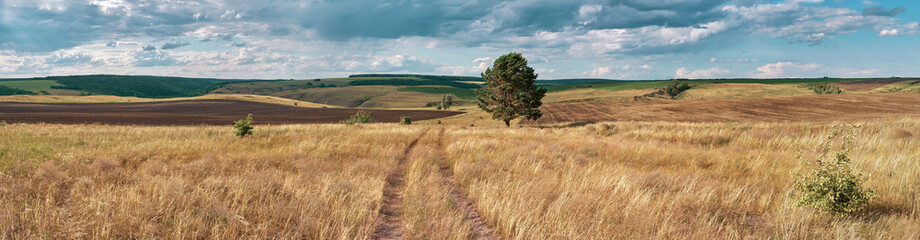 Wall Mural - panoramic landscape of central russia agricultural countryside with hills and country road. summer l