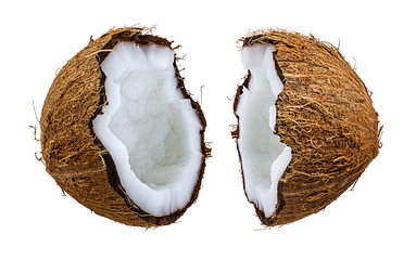 coconuts isolated on the white background