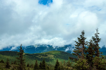 Wall Mural - Mountain, beautiful landscape. Ukraine, the Carpathian Mountains. Concept of travel, tourism, holidays, vacation