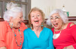 © Scott Griessel - Three Senior Ladies Laughing