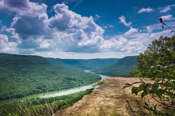 River Landscape