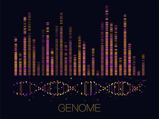 Big genomic data visualization