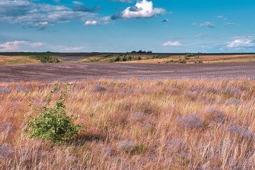 Wall Mural - central russia agricultural countryside with hills. summer landscape of the samara valleys. russian 