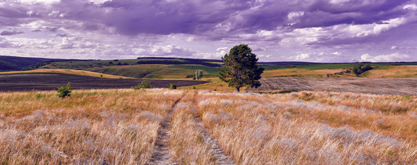 Wall Mural - central russia agricultural countryside with hills and country road. summer landscape of the samara 