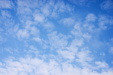 Canvas Print - Soft cloudscape with small white clouds in the sky in the evening