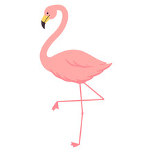 Cartoon Flamingo Vector Illustration Isolated On A White Background.