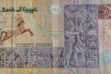 Wall Mural - Closeup of egyptian twenty pounds banknote