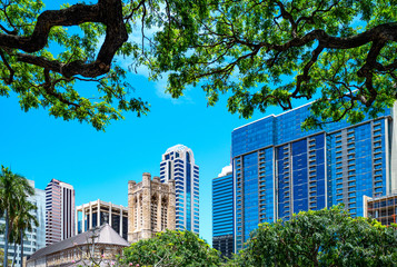 Wall Mural - Honolulu, Hawaii , the downtown buildings seen from the State Capitol  garden