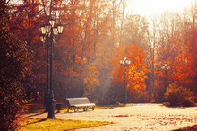 Autumn September Morning Landscape. Bench At The Autumn Alley Under Colorful Deciduous Autumn Trees.