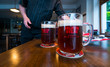 © JUAN CARLOS MUNOZ - Traditional Brewery, Krásná Lípa Village, Bohemian Switzerland National Park, Czech Republic, Europe