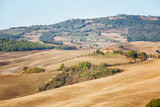 Fototapeta Na sufit - Typical autumn rural landscape , Tuscany, Italy