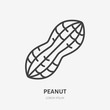 Peanut flat line icon. Vector thin sign of nut, healthy food outline illustration
