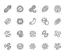 Nuts Flat Line Icons Set. Peanut, Almond, Chestnut, Macadamia, Cashew, Pistachio, Pine Seeds Vector Illustrations. Outline Signs For Healthy Food Store. Pixel Perfect 64x64. Editable Strokes