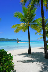 View of a tropical landscape with palm trees, white sand and the turquoise lagoon water in Bora Bora, French Polynesia, South Pacific