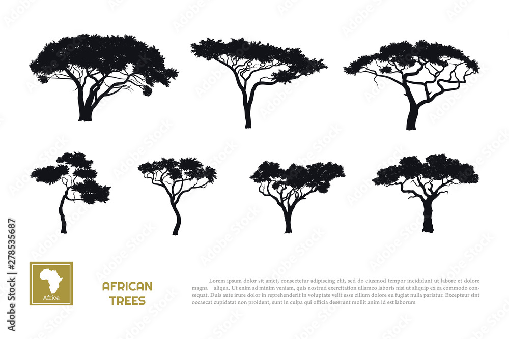 Black silhouettes of african trees on white background. Isolated image of savannah nature. Forest landscape of Africa. Acacia icons - obrazy, fototapety, plakaty 