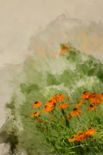 Digital Watercolour Painting Of Beautiful Vibrant Landscape Image Of Wildflower Meadow In Summer