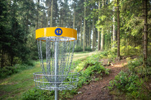 Disc Golf Basket in the Forest