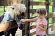 © demchyna - The little girl petting a pony in the zoo through a wooden fence