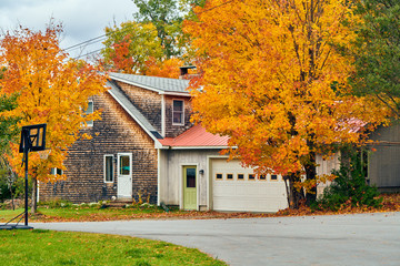 Poster - Driveway at suburban neighborhood. Autumn day in Maine, USA.